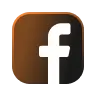 fanpage-icon